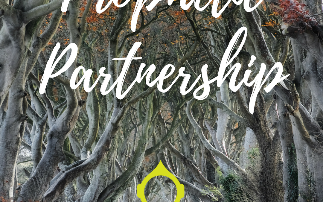 Prophetic Partnering