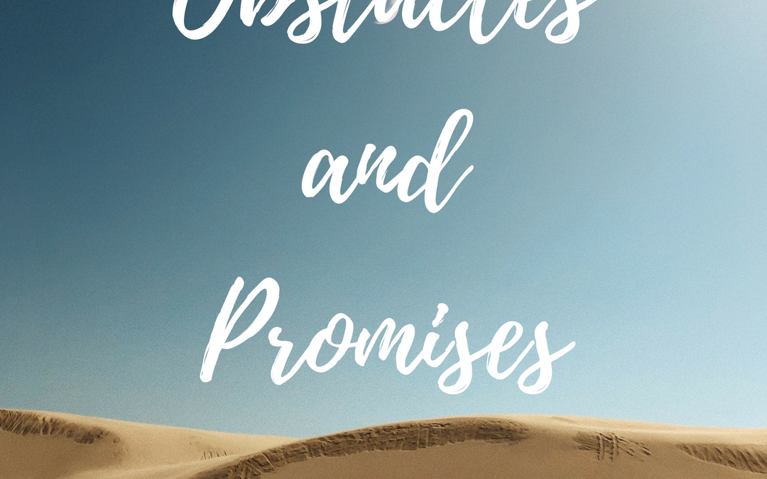 Obstacles and Promises