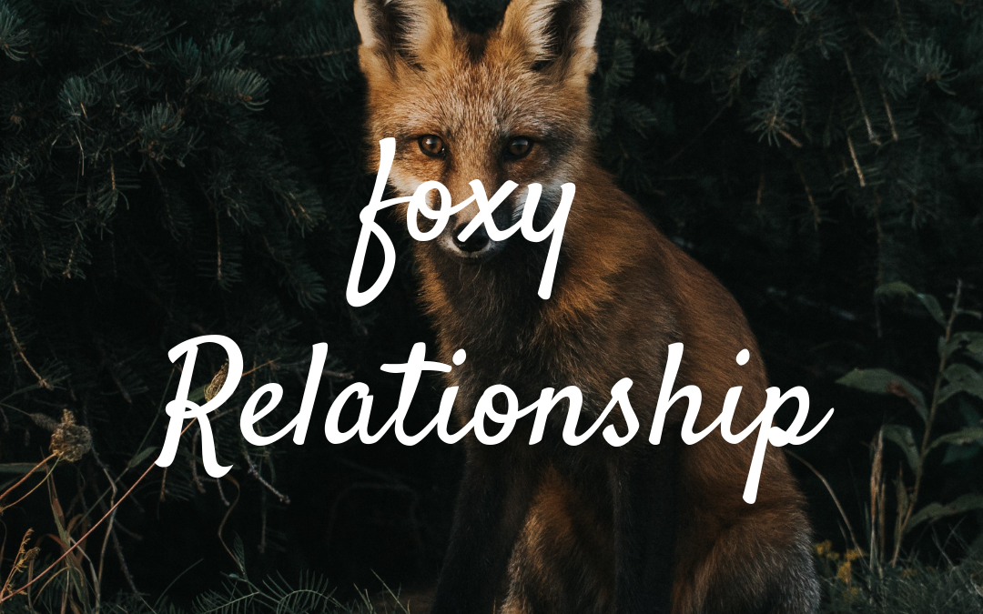 Foxy Relationship